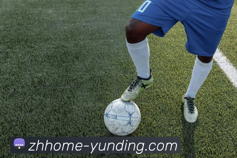 多媒体互动体验