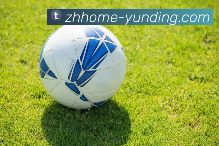 4118云顶官网APP 体育赛事宣传图